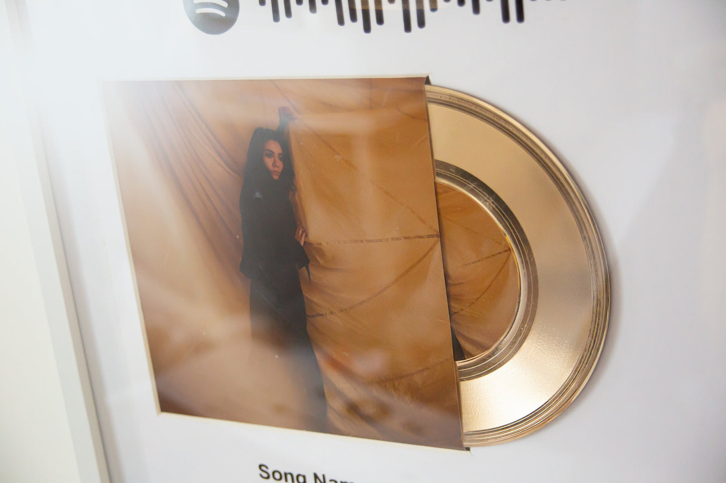 Music And Song Album Cover Plaque ,Personalised Vinyl Record for 50th Anniversary Gift , Vinyl Record Decor for 1st Anniversary Gift For Her