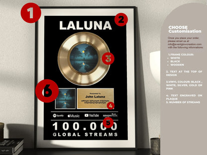 Custom Gold Vinyl Record Frame ,Award Plaque , streaming Goal Gift , Recognition Award , Award for Musicians, Singers, Artists, Producers