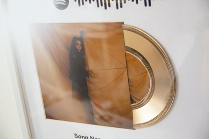 Music And Song Album Cover Plaque ,Personalised Vinyl Record for 50th Anniversary Gift , Vinyl Record Decor for 1st Anniversary Gift For Her